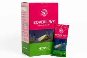 BIOINCECTISIDES BOVERIL